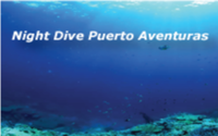 Night Dive Puerto Aventuras
